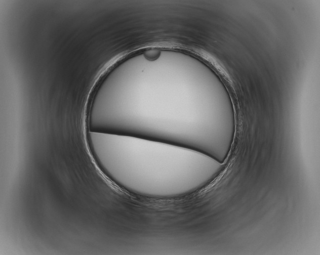 X0000116881237200912220938