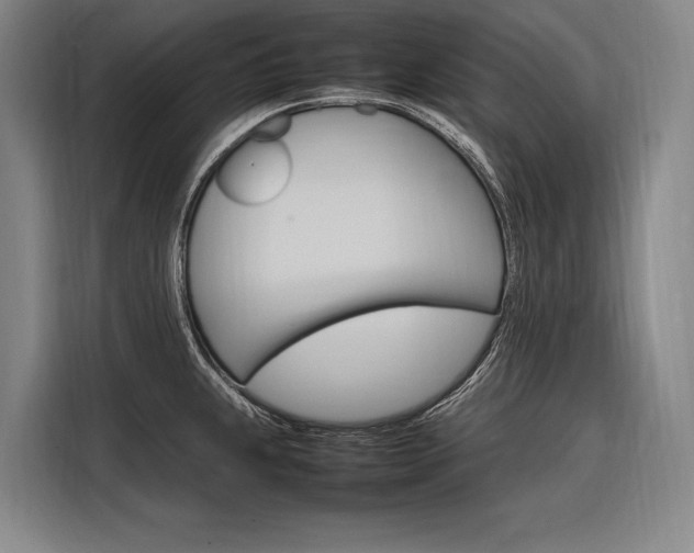 X0000116881239200912220938