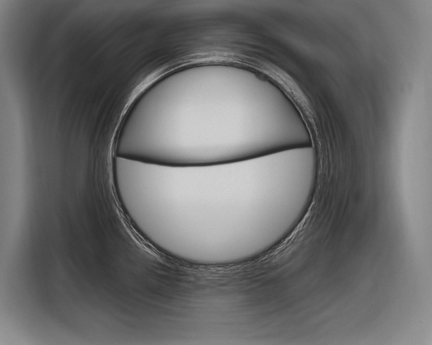 X0000116881242200912220938