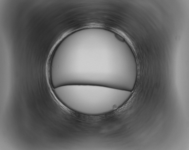X0000116881243200912220938