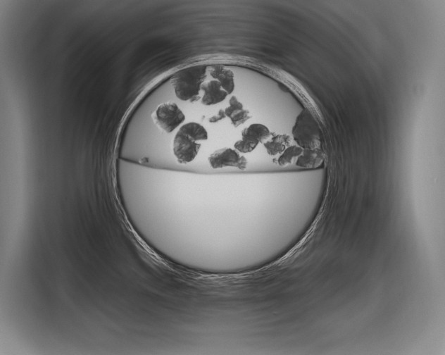 X0000116881244200912220938