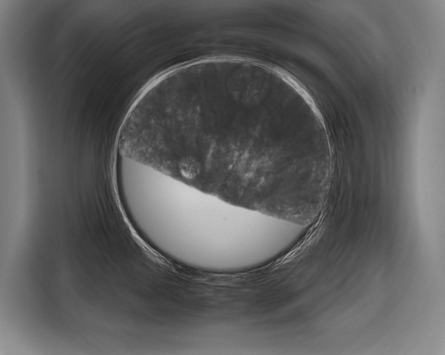 X0000116881245200912220938