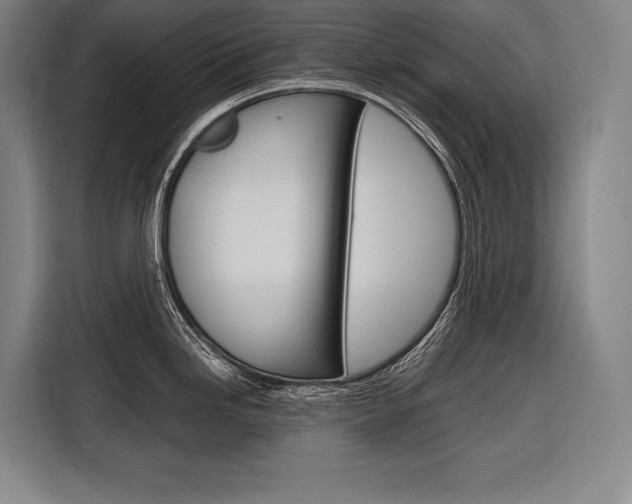 X0000116881246200912220938