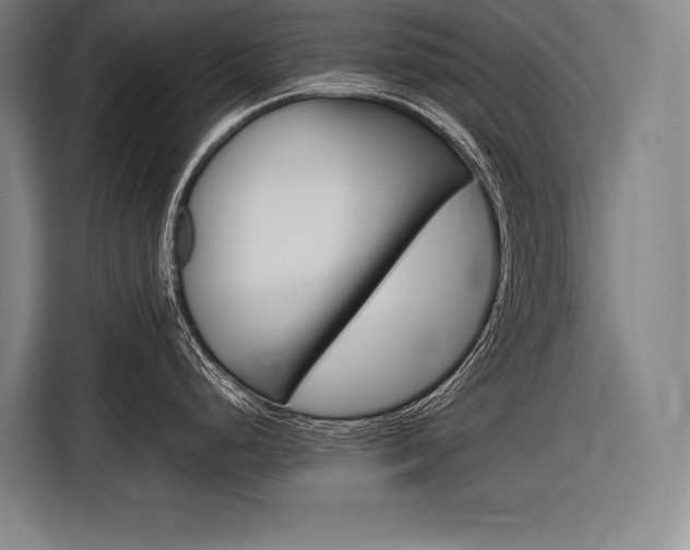 X0000116881248200912220938