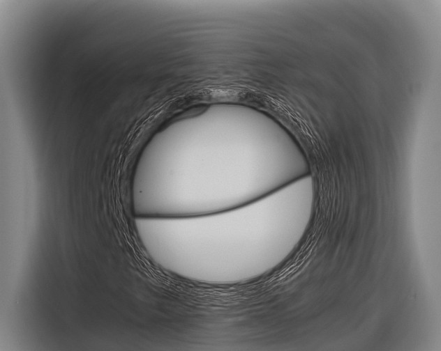 X0000116881249200912220937