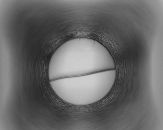 X0000116881250200912220937
