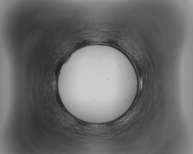 X0000116881251200912220937