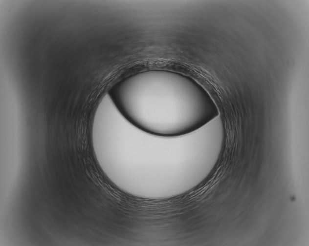 X0000116881252200912220937