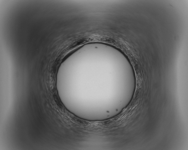 X0000116881253200912220937