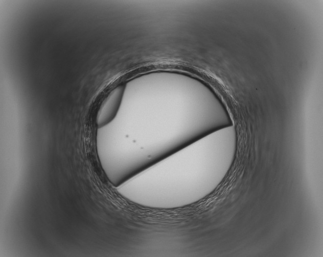 X0000116881255200912220937