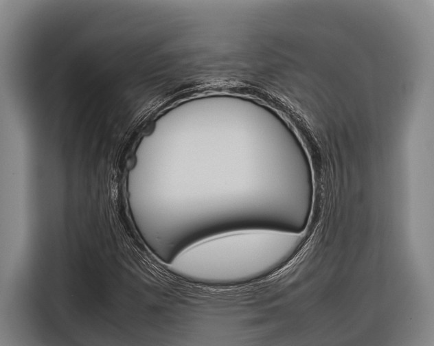 X0000116881257200912220937