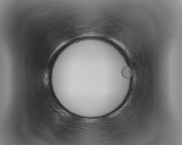 X0000116881258200912220937