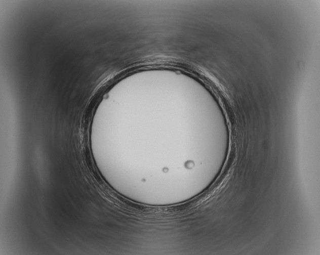 X0000116881259200912220937