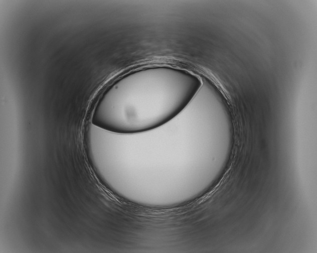 X0000116881260200912220937