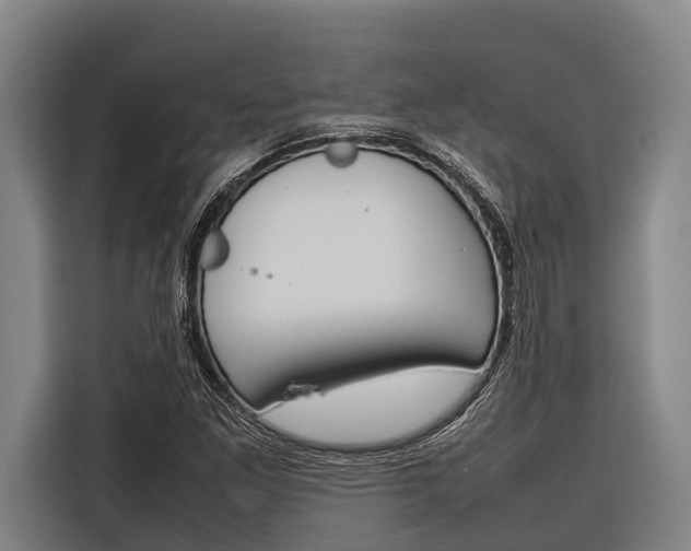 X0000116881261200912220937
