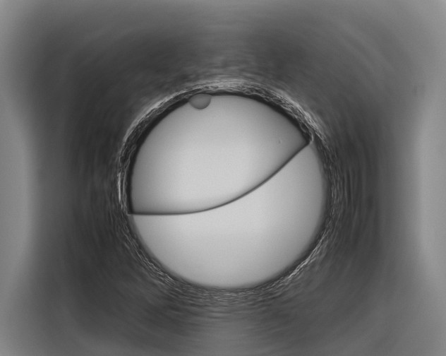 X0000116881262200912220937