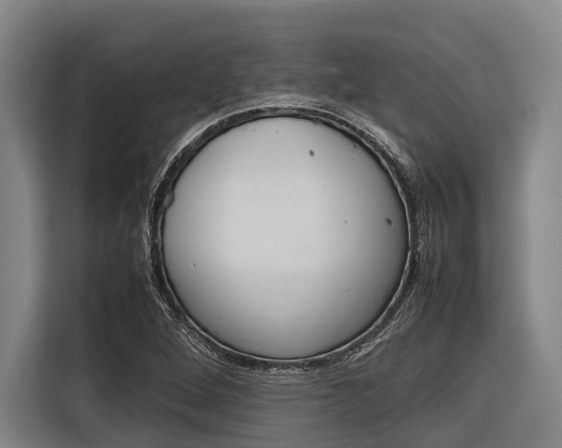 X0000116881264200912220937