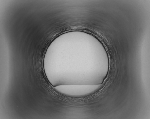 X0000116881265200912220937
