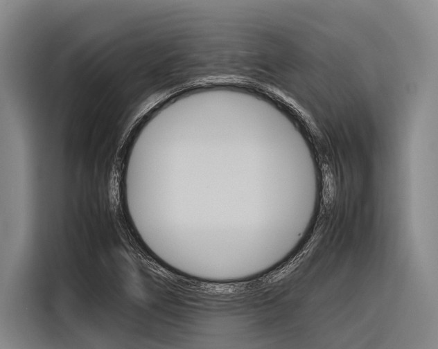 X0000116881266200912220937