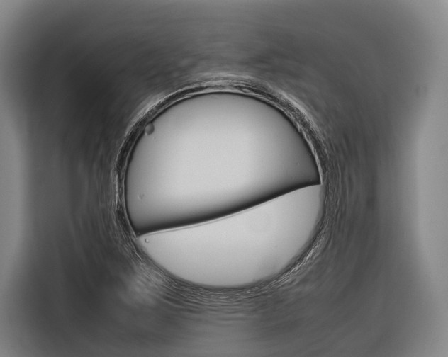 X0000116881267200912220937