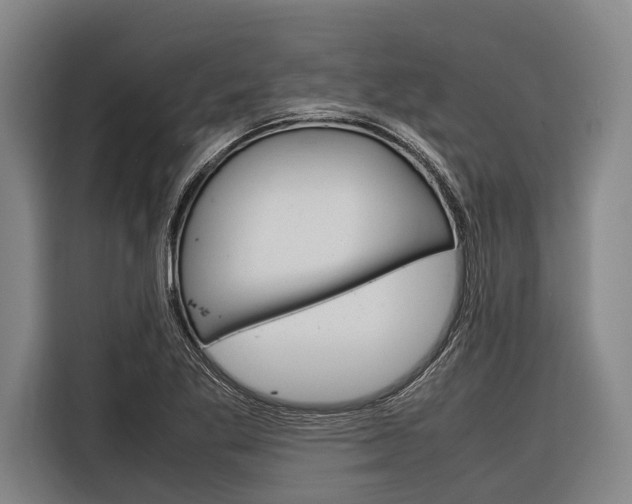 X0000116881269200912220937