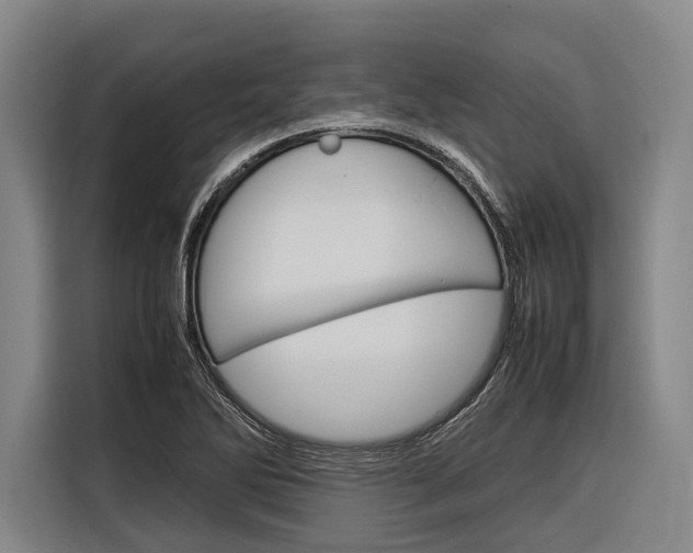 X0000116881270200912220937