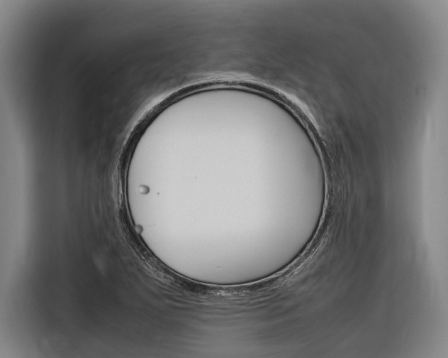 X0000116881271200912220937