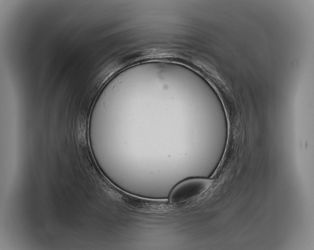 X0000116881273200912220937