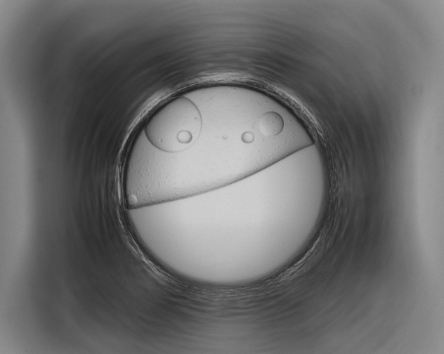 X0000116881274200912220937