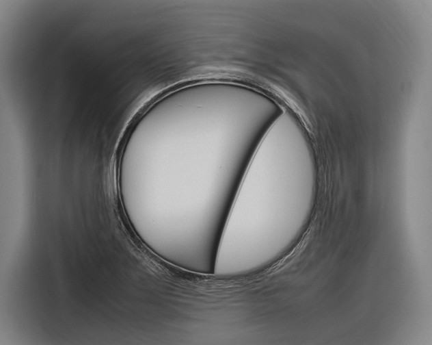 X0000116881275200912220937