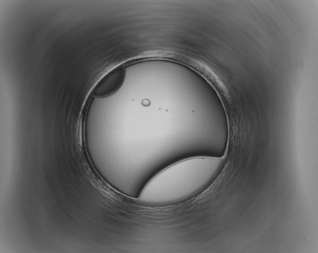 X0000116881276200912220937
