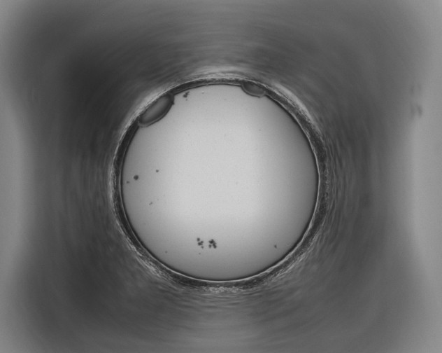 X0000116881277200912220937