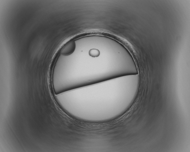X0000116881279200912220937