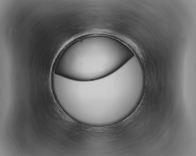 X0000116881280200912220937