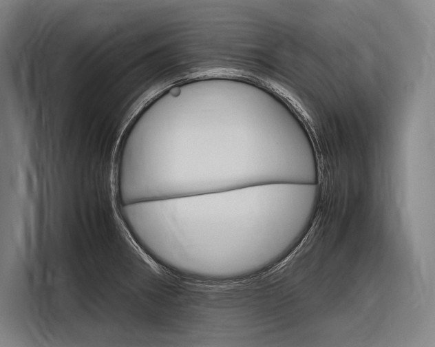 X0000116881282200912220937