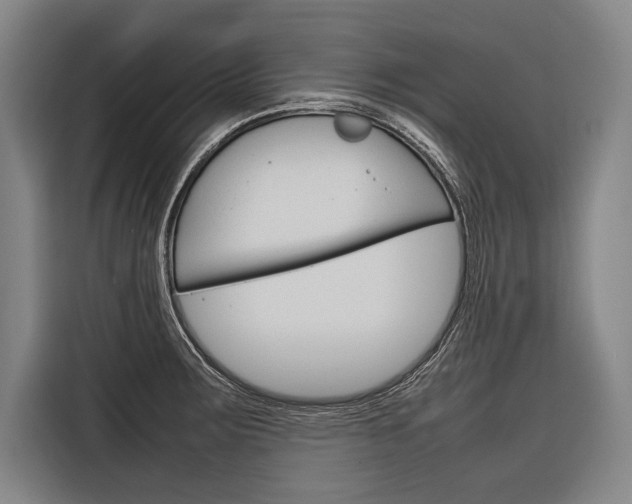 X0000116881283200912220937