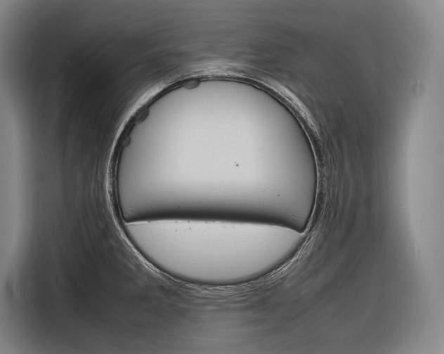 X0000116881285200912220937