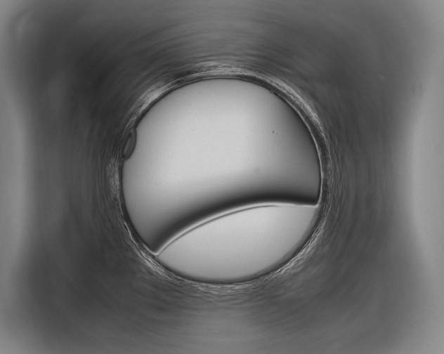 X0000116881289200912220937