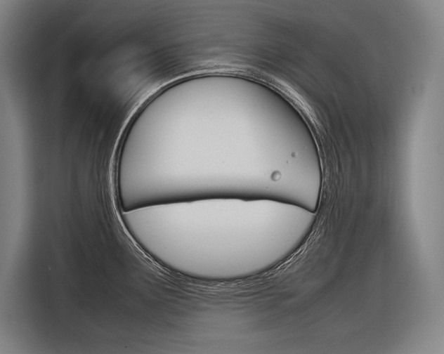 X0000116881291200912220937