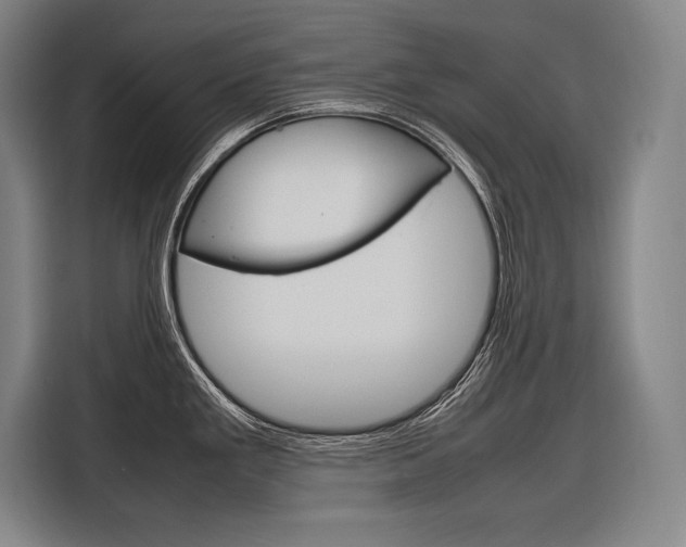 X0000116881293200912220937