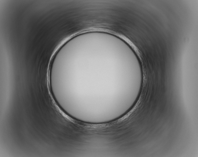 X0000116881294200912220937
