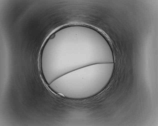 X0000116881295200912220937