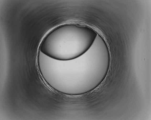 X0000116881296200912220937