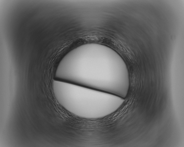 X0000116881297200912220936