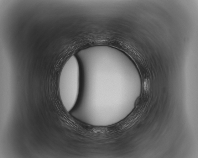 X0000116881299200912220936