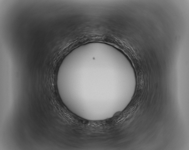 X0000116881301200912220936