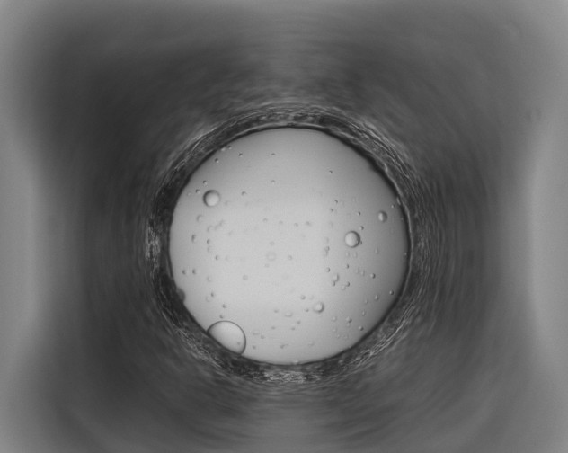 X0000116881302200912220936