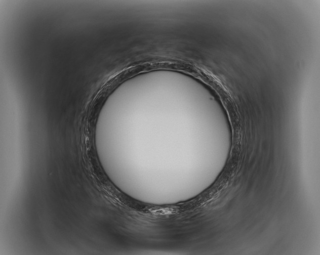 X0000116881303200912220936