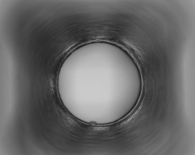 X0000116881305200912220936