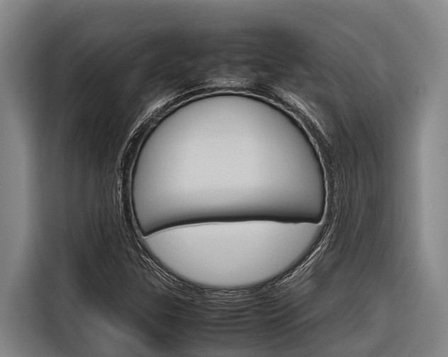X0000116881307200912220936